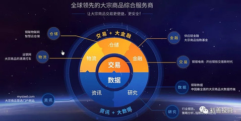 读年报系列二（2） 上海钢联——数据服务的独角兽之路